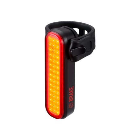  BLS-256 Signal