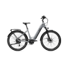 Platinium Grey