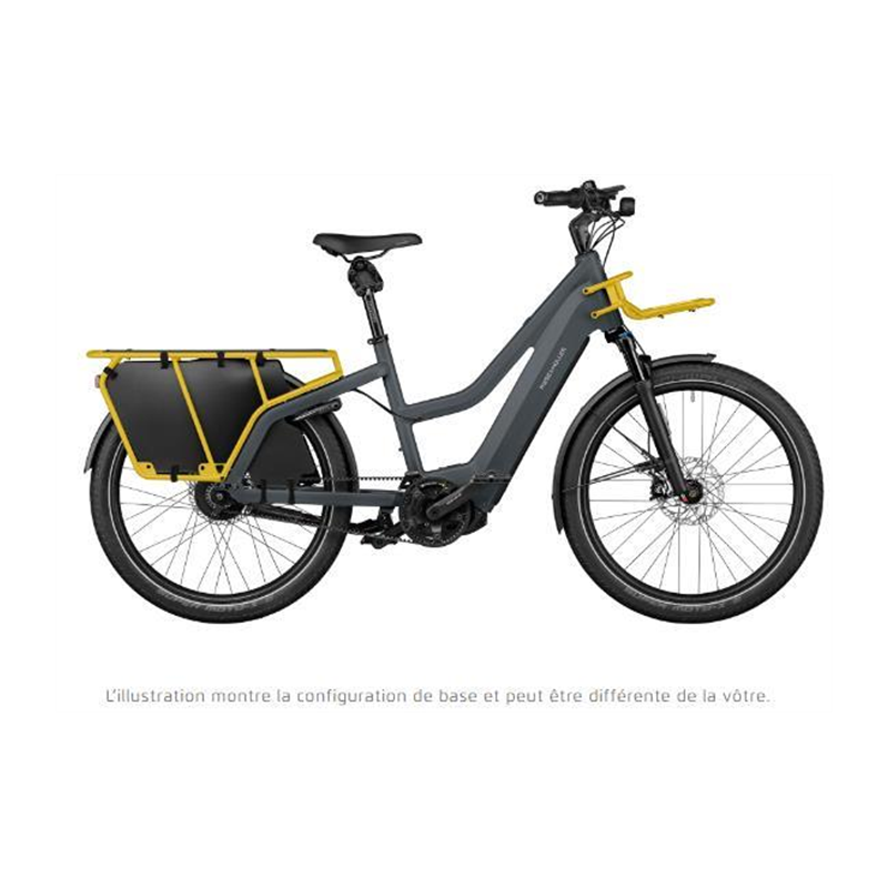  Multicharger2 Mixte GT Vario (PBAC.750.RX.I100.SB) Trapèze