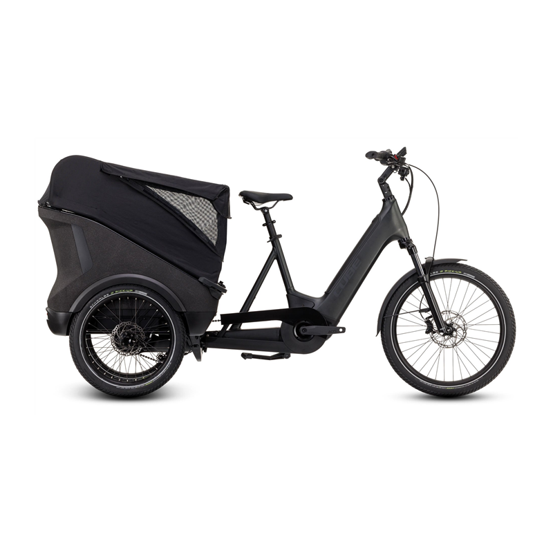  Trike Cargo Hybrid 750 Easy Entry