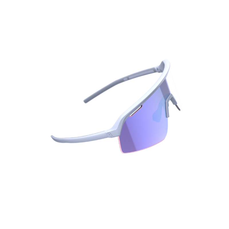 Lunettes BSG-81 Valor Flux