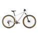 Focus Whistler 3.8 29" MTB Grijs 2022 (644019311-14)