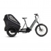 Tricycle Electrique Cube Trike Family Hybrid 750 Gris/Reflex 2023