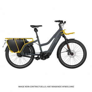 Riese & Muller Riese & Muller Multicharger2 Mixte GT Vario HS Trapezium 45 km/u Elektrische Fiets Utility Grey/Curry 2025
