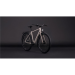  Cube Editor Pro FE oatgrey´n´grey 2026