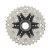  Shimano CS-R7101 105 2024