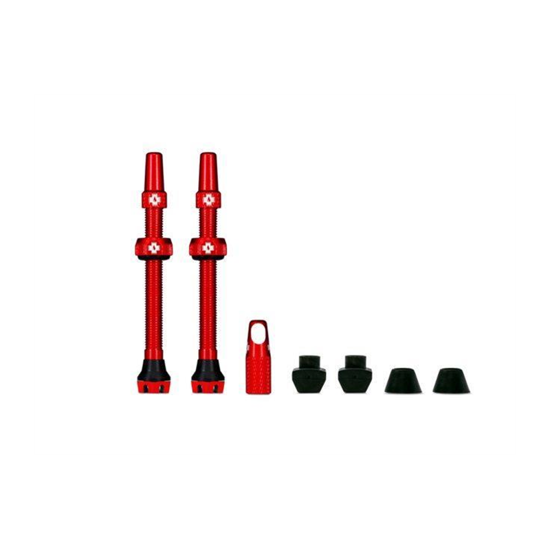 Valves Tubeless 