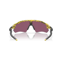 Radar Ev Path Bril