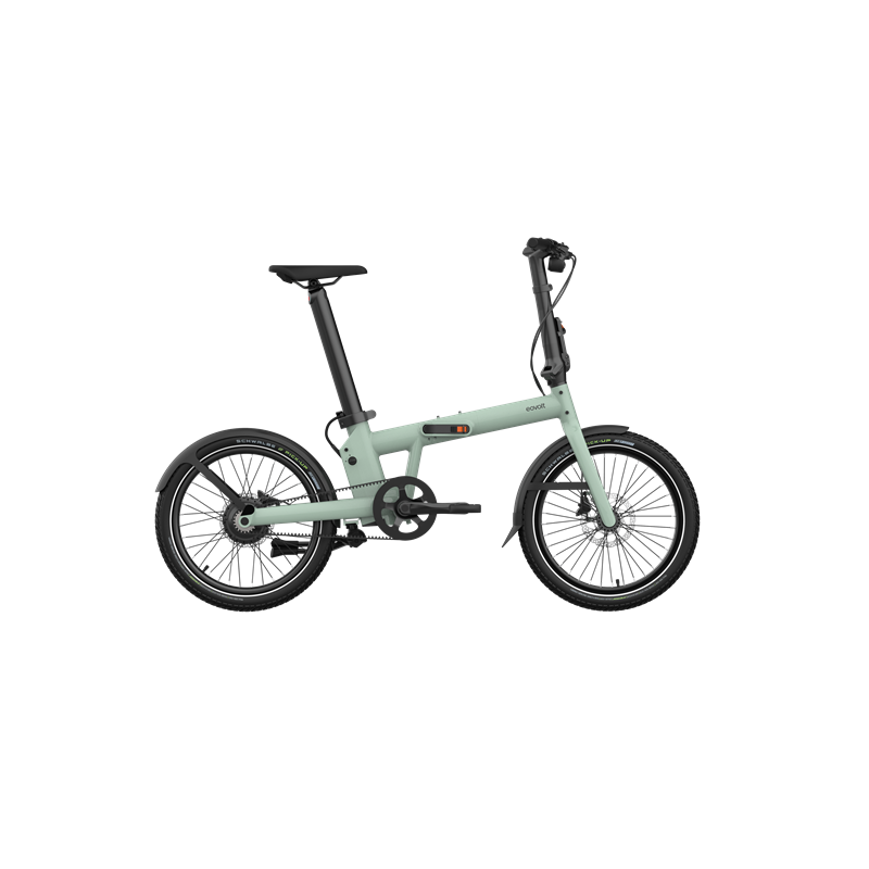  PRO20 V1 (Afternoon Pro)