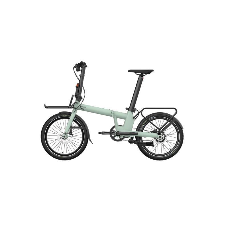  PRO20 V1 (Afternoon Pro)