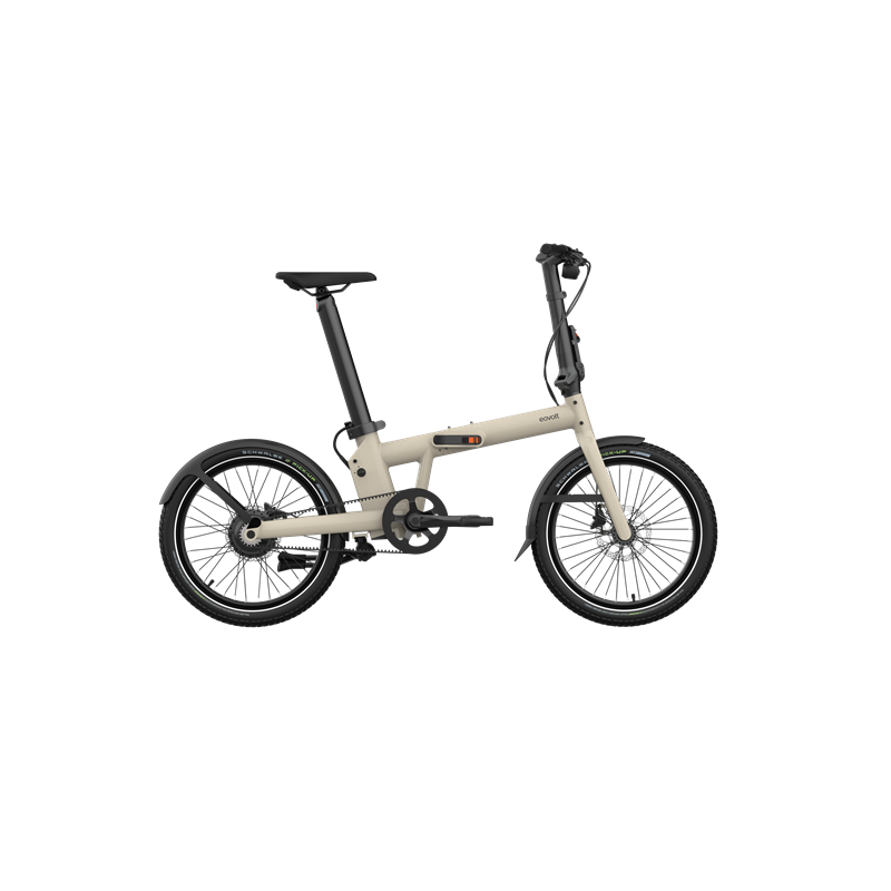 PRO20 V1 (Afternoon Pro) 