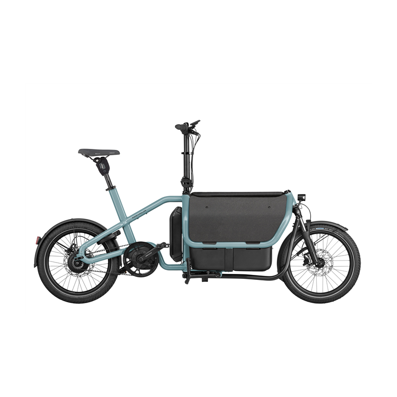  Carrie Vario (I100.545.FB.SE.HP.TDS.RX)