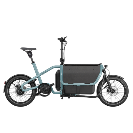  Carrie Vario (I100.545.FB.SE.HP.TDS.RX)