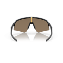 Lunettes Sutro Lite