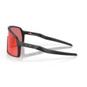 Lunettes Sutro S