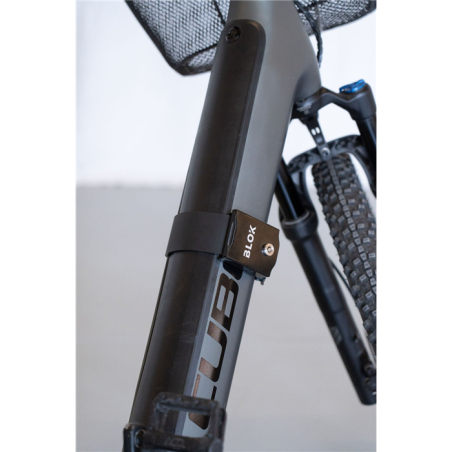 Antidiefstalbeveiliging voor de accu 