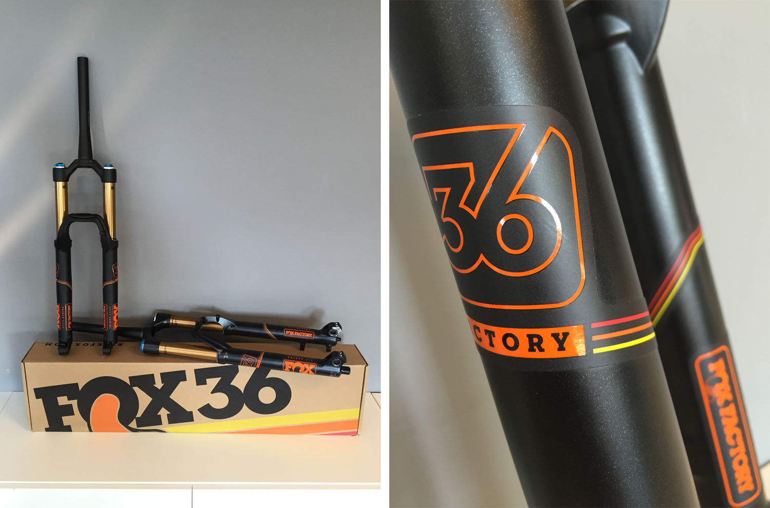 Les nouvelles Fox 2016 sont à présent disponibles au magasin !