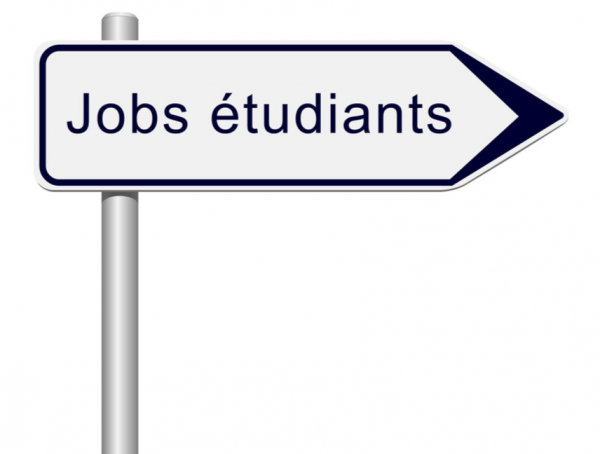 Barracuda cherche des étudiants motivés pour compléter son équipe !