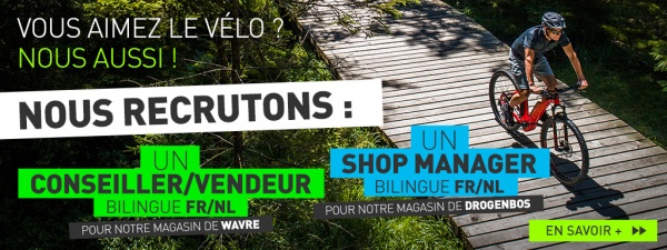 Offre d'emploi