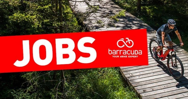 FlexiJobs