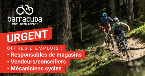 Offres d'emploi