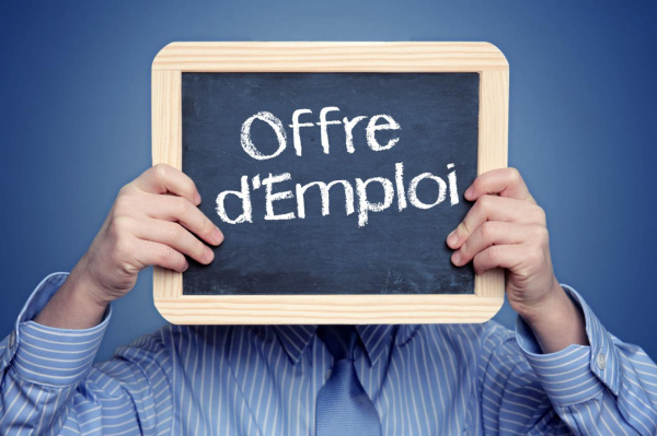 Offre d'emploi : Marketing Officer